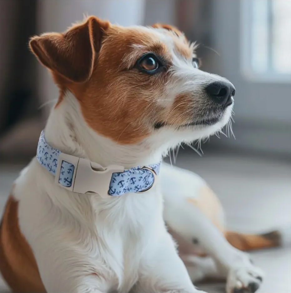 Light Blue Anchor Pattern Dog Collar