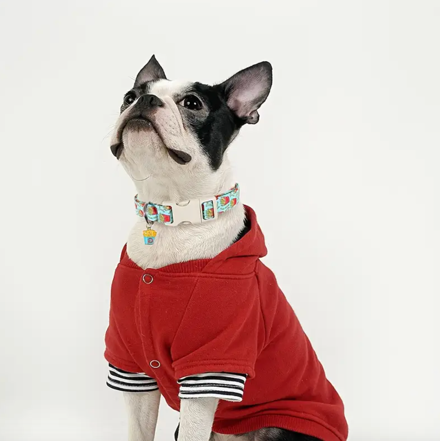 Pizza Food Prints Pattern Dog Collar