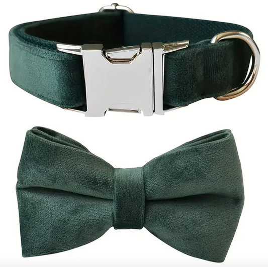Green Velvet Adjustable Dog Collar with Bow Tie