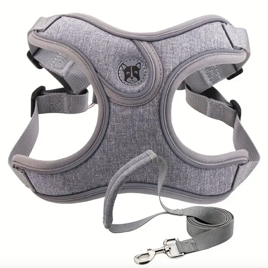 Grey Adjustable Dog Harness and Traction Rope Set