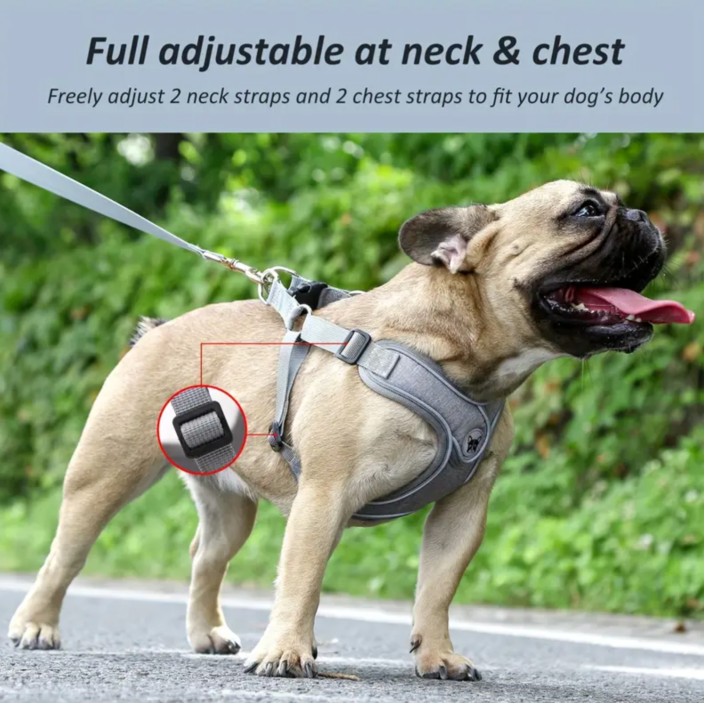 Grey Adjustable Dog Harness and Traction Rope Set